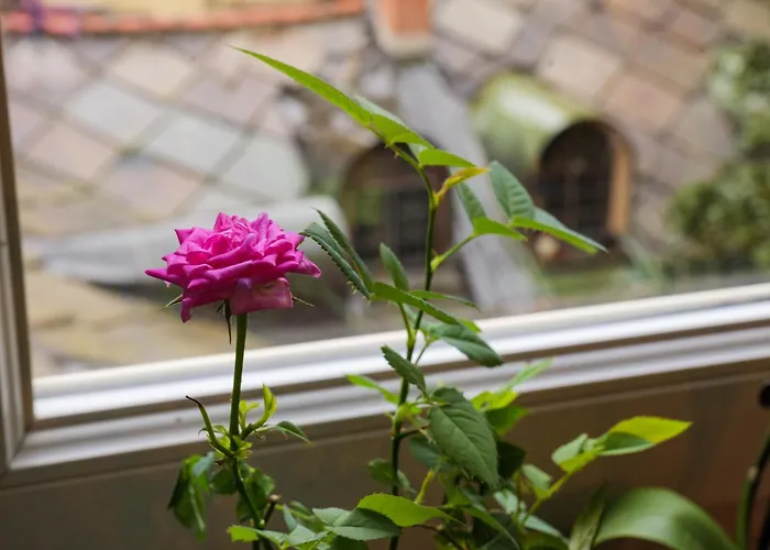 Apartament In Centro A *