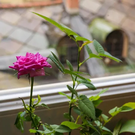 דירה In Centro A *